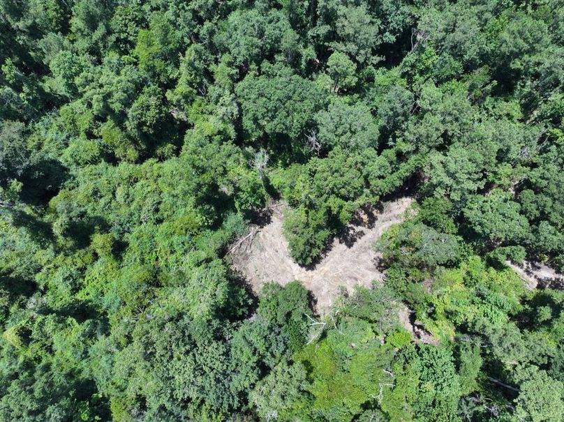 dji_fly_20250708_124108_0219_1752089880957_photo