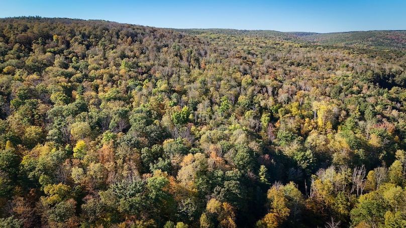 Tompkins NY 87 Allen Photos 36