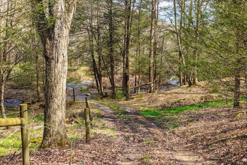 59-web-or-mls-IMG-59