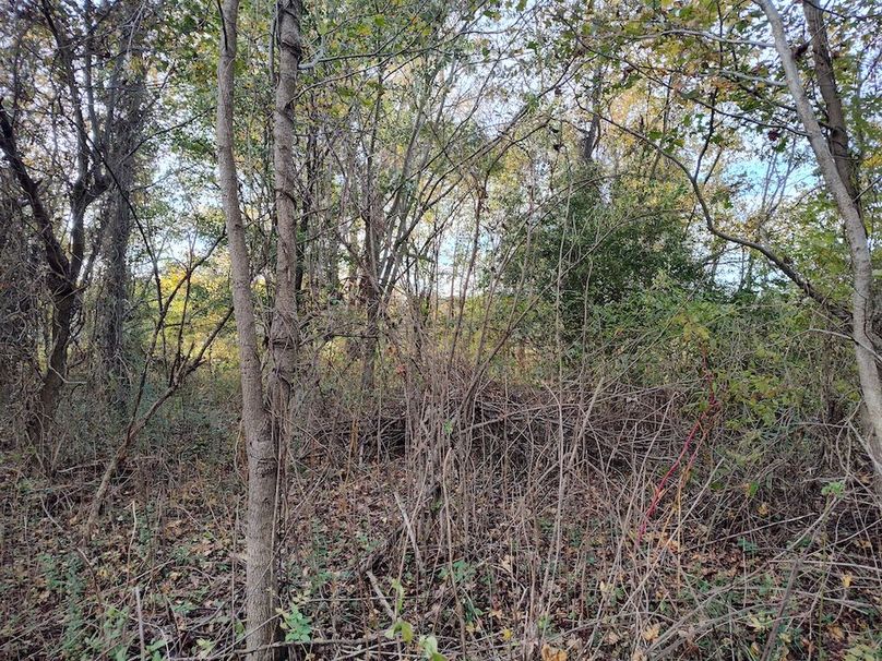 IMG_20251105_155639032_HDR