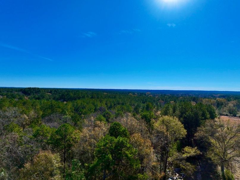 4031DB33-BAF2-4CBB-ADF2-3CA37A07CEFB_1_201_a-2