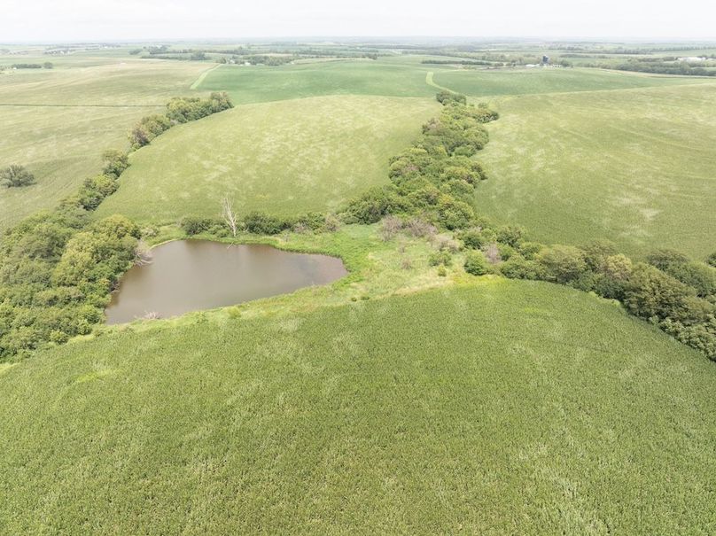 Copy of DJI_20250720135953_0097_D