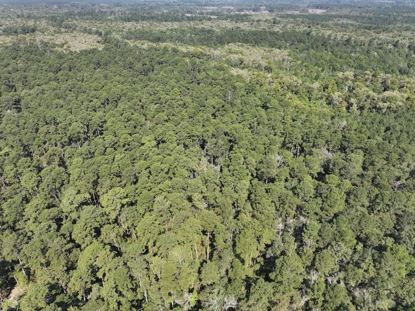 dji_fly_20250826_104242_0376_1756227536450_photo