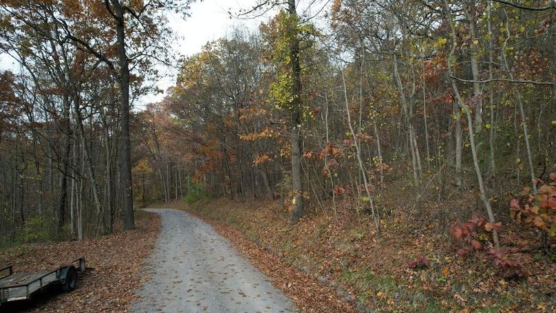 dji_fly_20251105_122024_894_1762380943280_photo