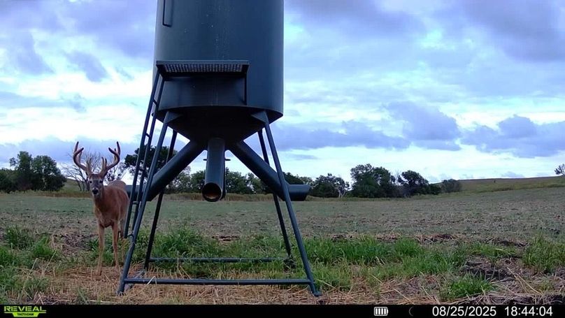 016579004651498-100-2-08252025184404-SYFW01621