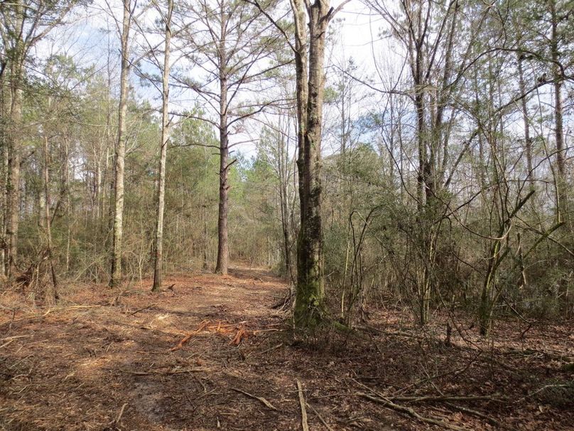 60DFB0D7-619C-4B9A-AC47-0D48B23AF9B3_1_105_c