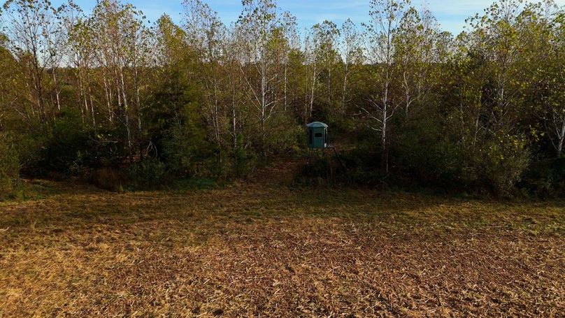 Sequence 07.00_03_34_04.Still103