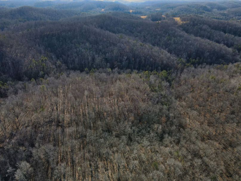 003 beautiful aerial overview