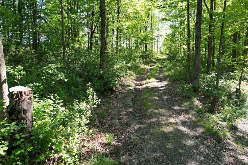 Chemung_116.3_Stamm Photo 65