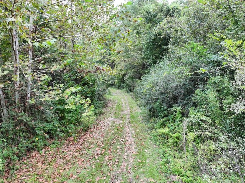 dji_fly_20250924_094424_0532_1758726285846_photo