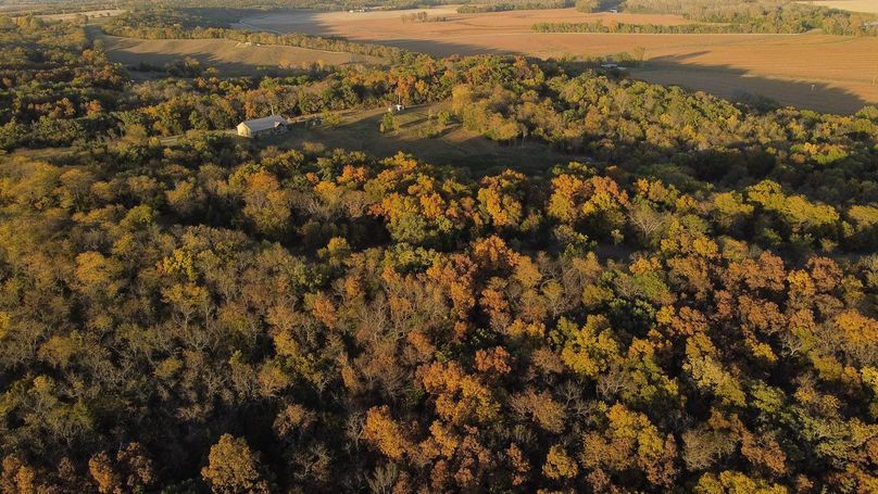 NODAWAY CO MO 80_79