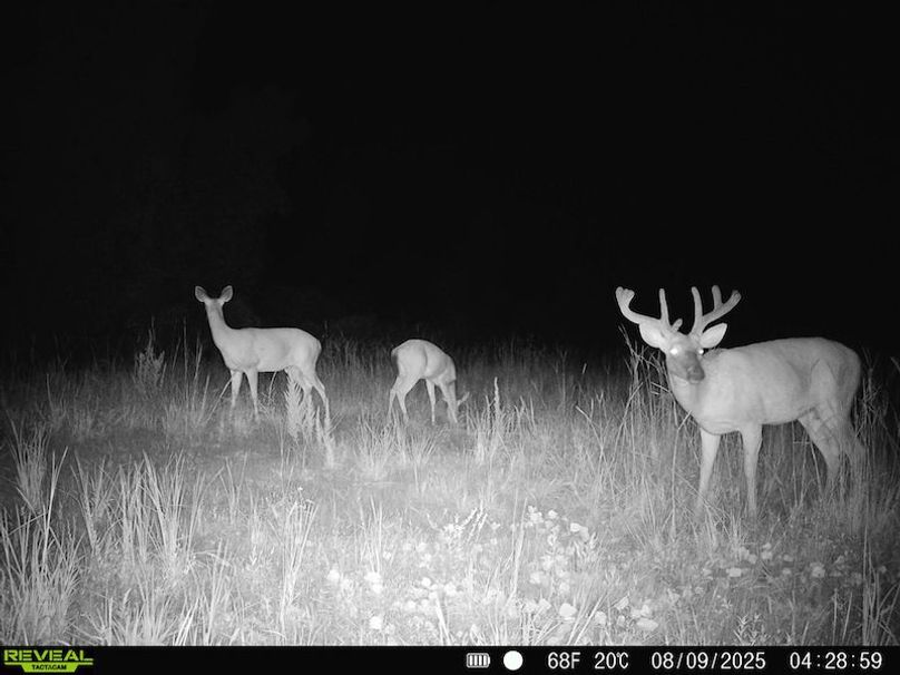 TwinStatesTrailCam01