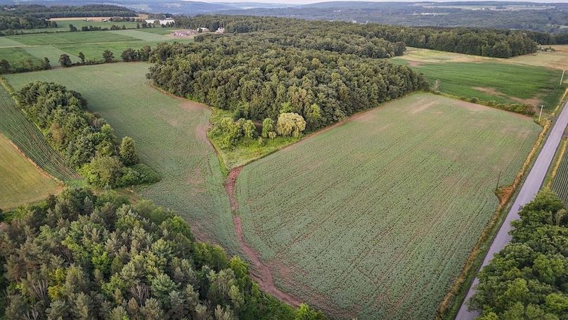 Copy of Wood Tract 5 Photo 3