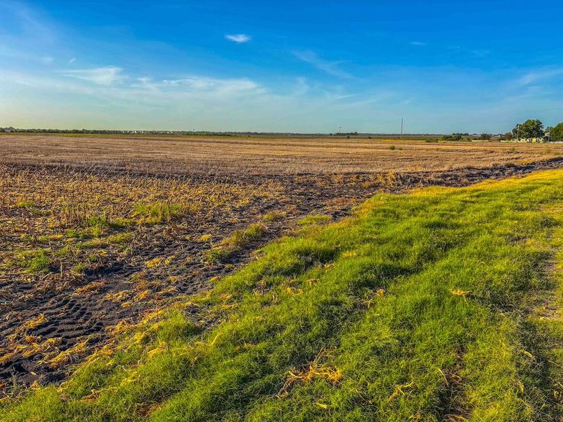 Bell 46.44 Pictures-33