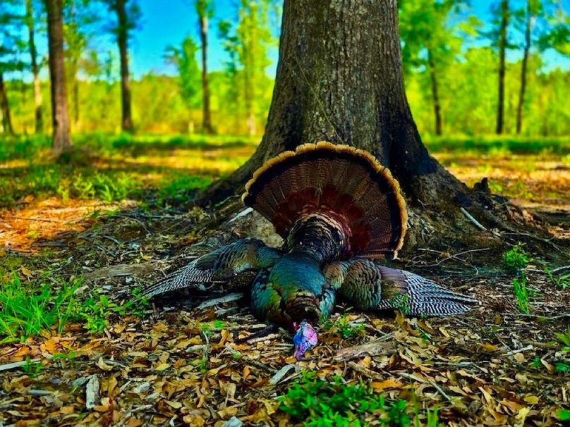 33F12DCB-C66B-45A4-99A6-C08BC314DDA9_1_105_c-2