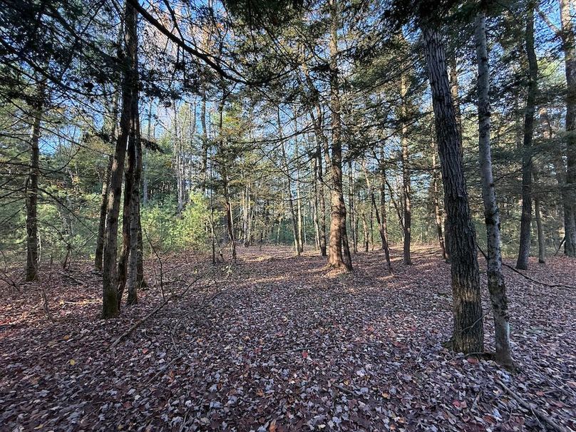 Oswego_26.28_Koehler Photo 31