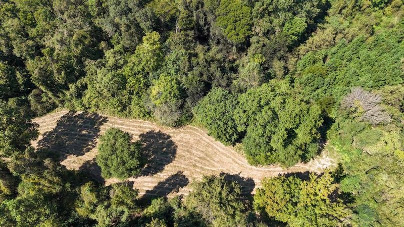 7-DJI_20241007133827_0003_D