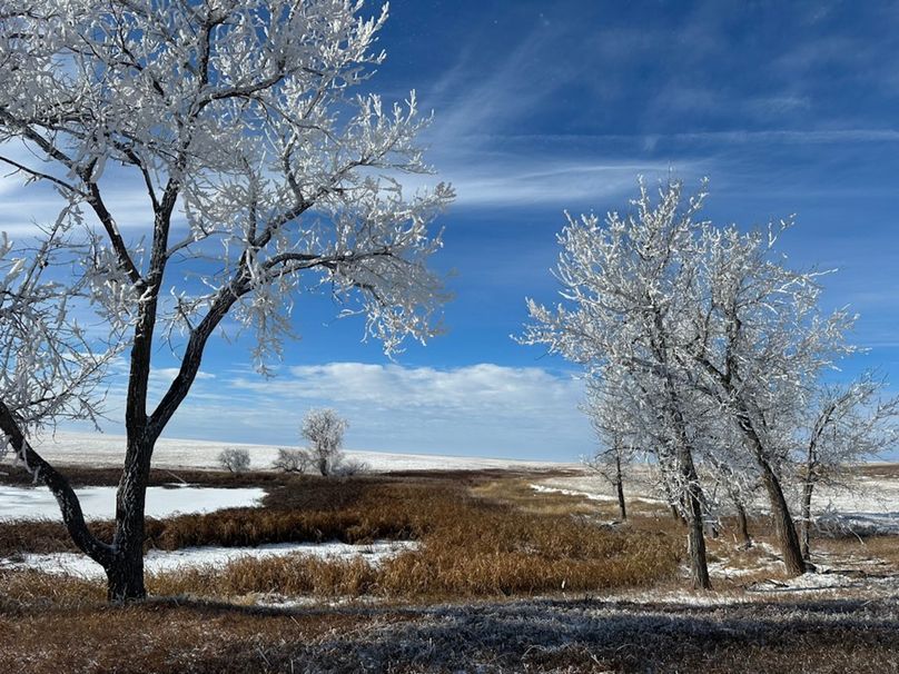 4E312681-1D4F-4828-BC21-F60F4A4FF406_1_105_c