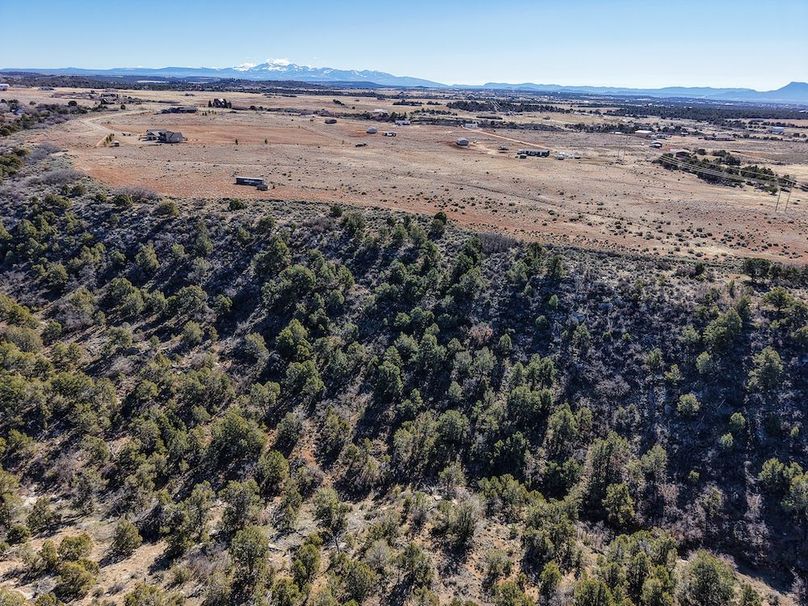 DJI_20260303094309_0047_D