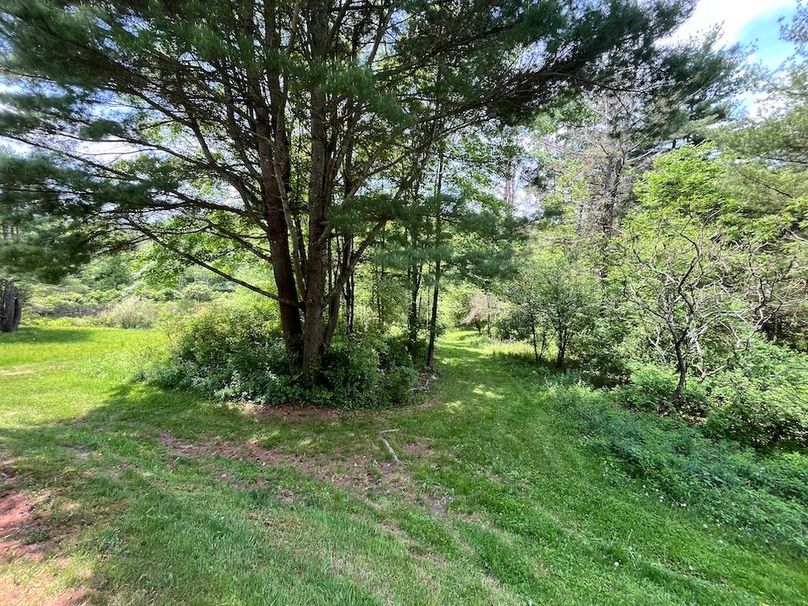 Tioga_78_Biada_Photos_106