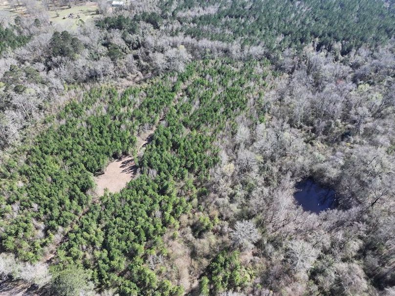 dji_fly_20260302_130234_0334_1772559702811_photo