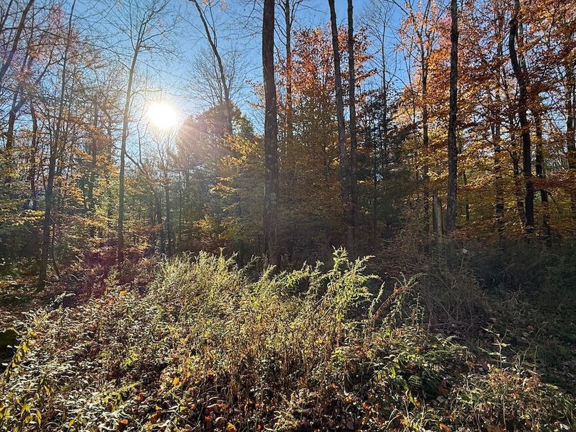 Oswego_26.28_Koehler Photo 13