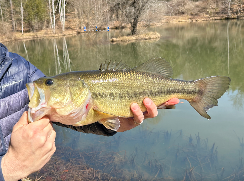 Tioga_28.87_Shangraw Photo 27a