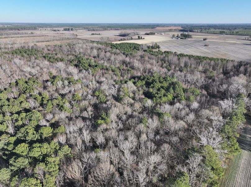 DJI_20260101162040_0306_D