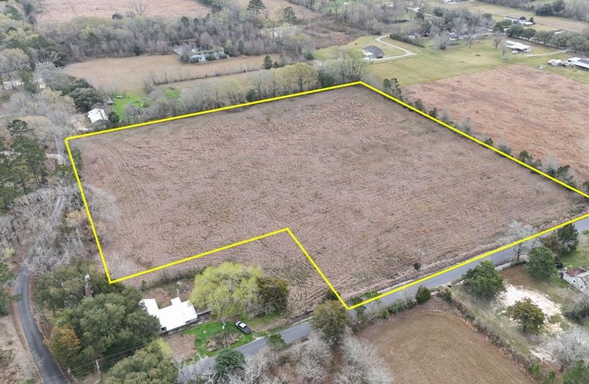 dji_fly_20260225_082546_0078_1772047902710_photo