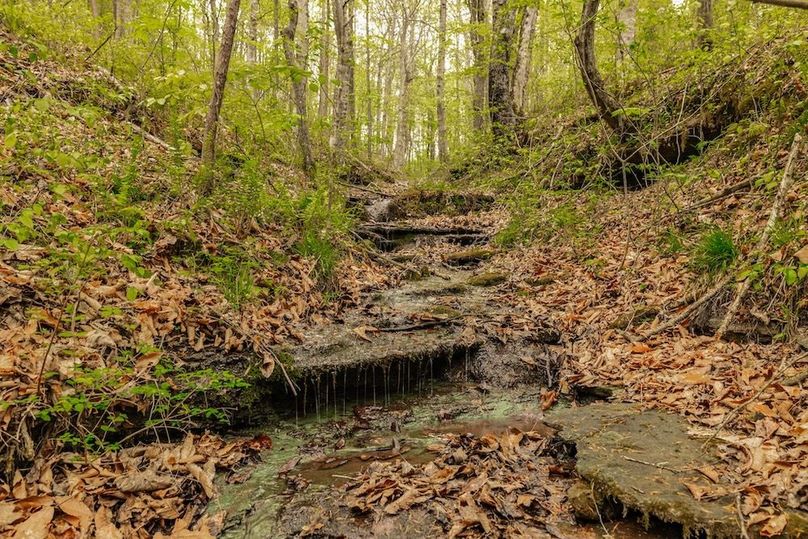 75-web-or-mls-1103 Johnny Spears Rd-73