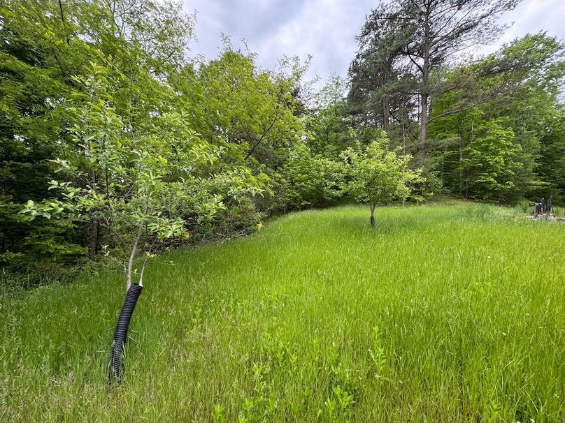 Pleasants, WV 168.59 AC Superior, Swank, Young-043