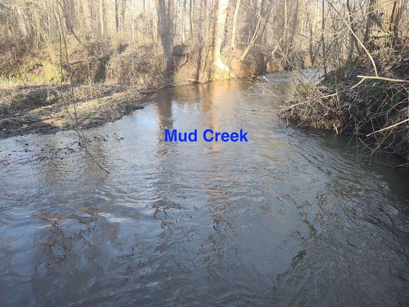 IMG_20240302_164643207