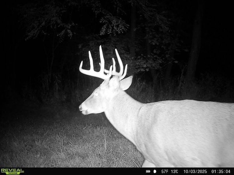 864049057528277-100-4-10032025013504-W1001010