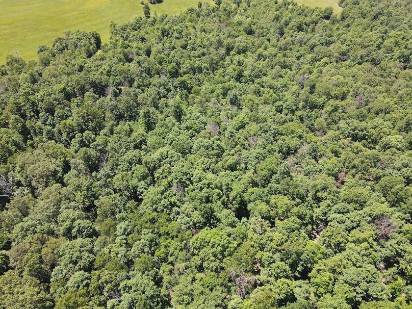dji_fly_20260507_122308_739_1778174605837_photo