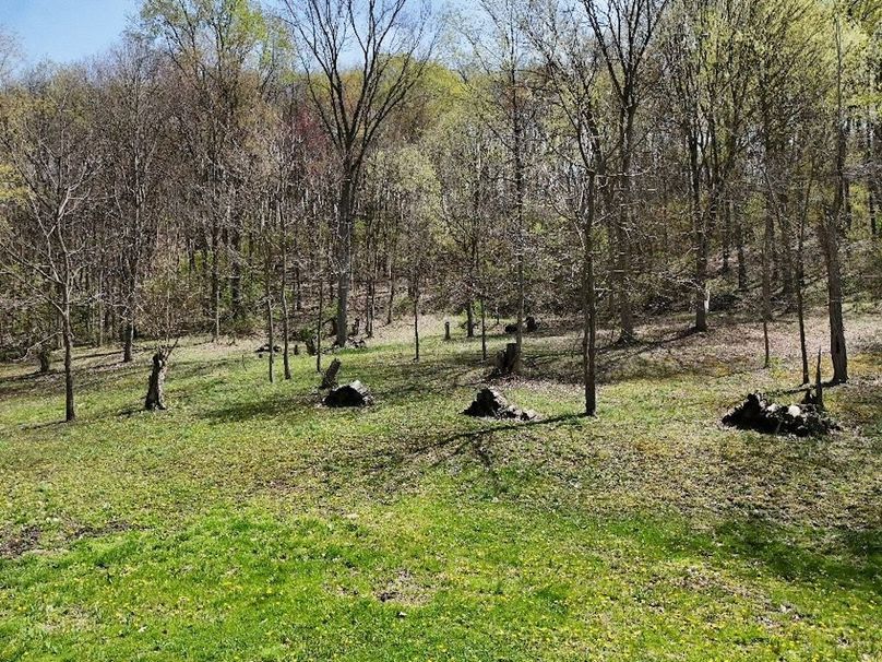DJI_20250422134515_0053_D
