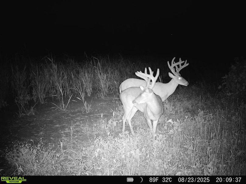 Copy of Copy of Noxubee 222.1 Trail Cam-6