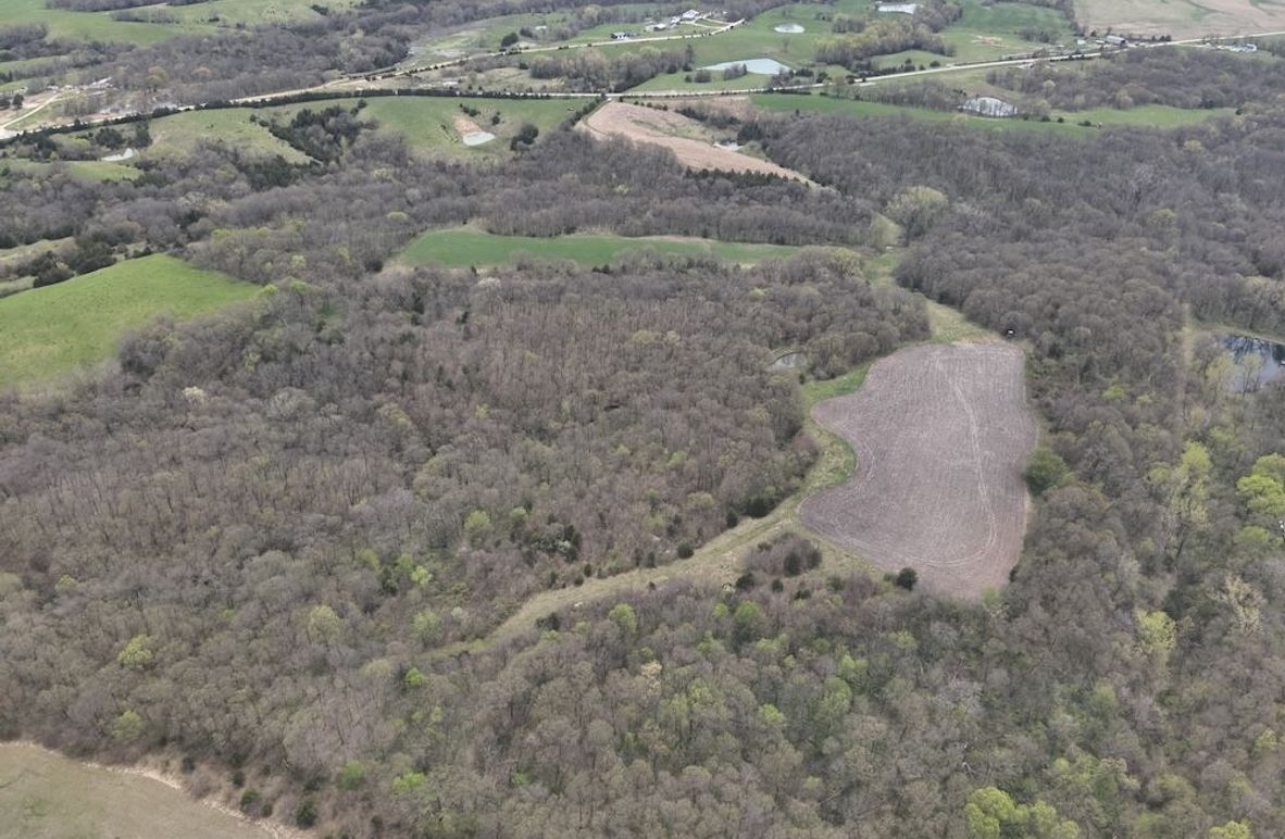 DJI_20250424131212_0008_V