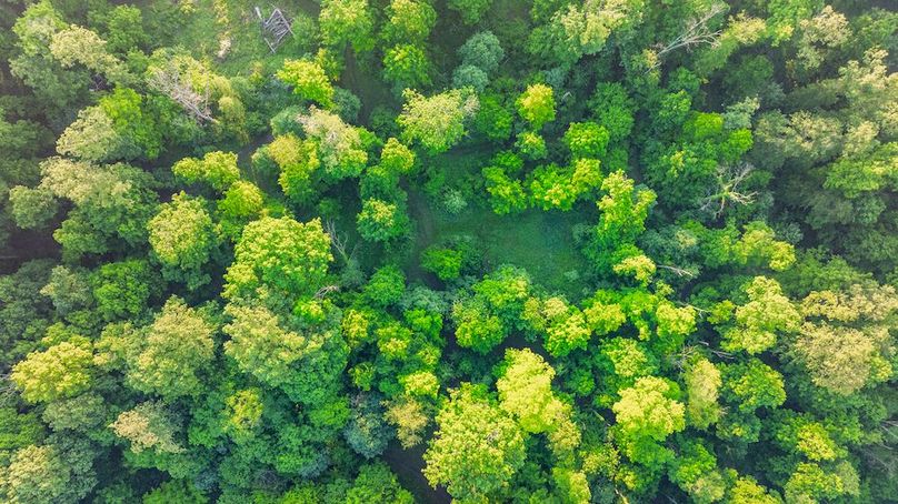 DJI_20250516055521_0011_D