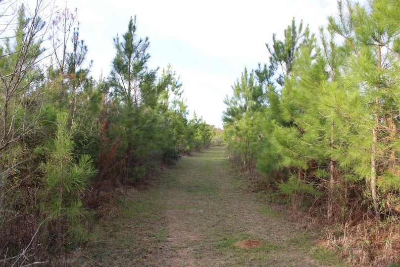 A07FB0B7-2805-4166-85FF-02FE84ECBADE_1_105_c