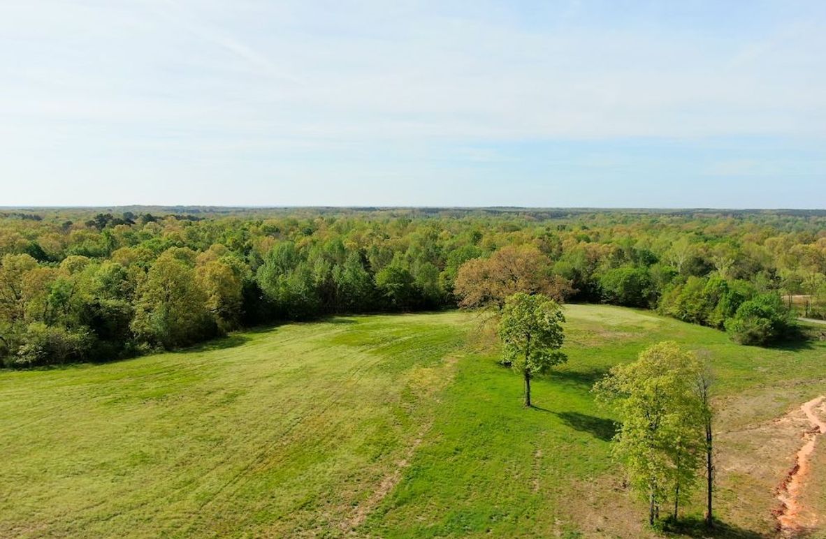 3 House site towards woods