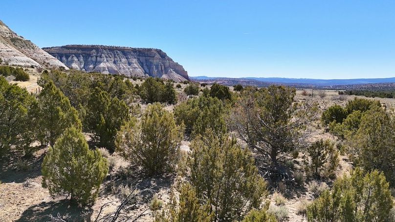 DJI_20240403110854_0134_D