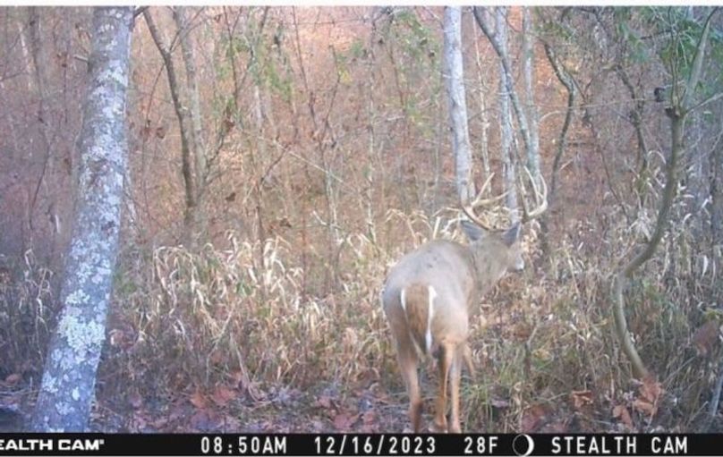 02 picture from the property