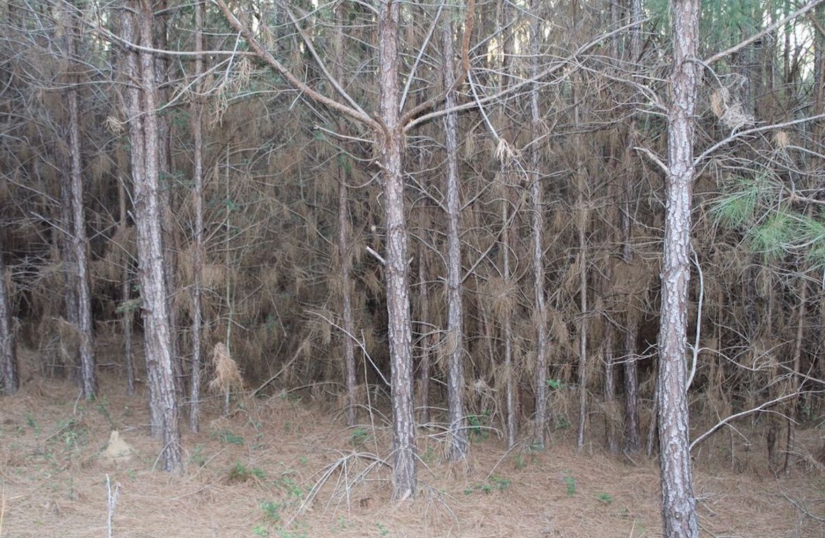 6AC61084-D54D-4E01-9E4E-BBE12B31317C_1_105_c