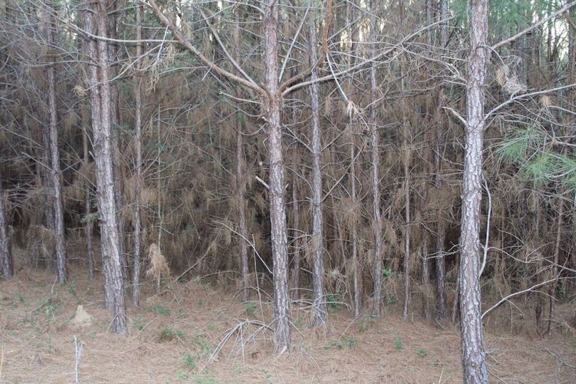 6AC61084-D54D-4E01-9E4E-BBE12B31317C_1_105_c