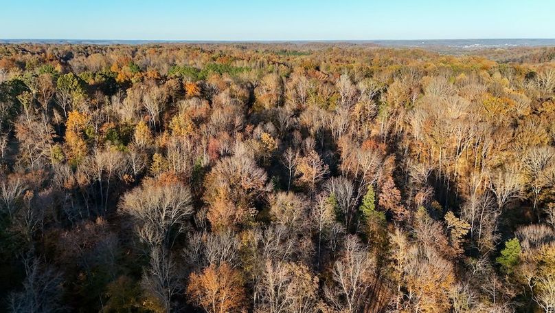 DJI_20251111155416_0066_D