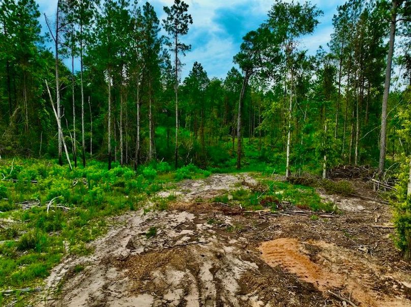 CB1C84A9-DBCB-4F83-9921-A44EF3EAE0AD_1_105_c