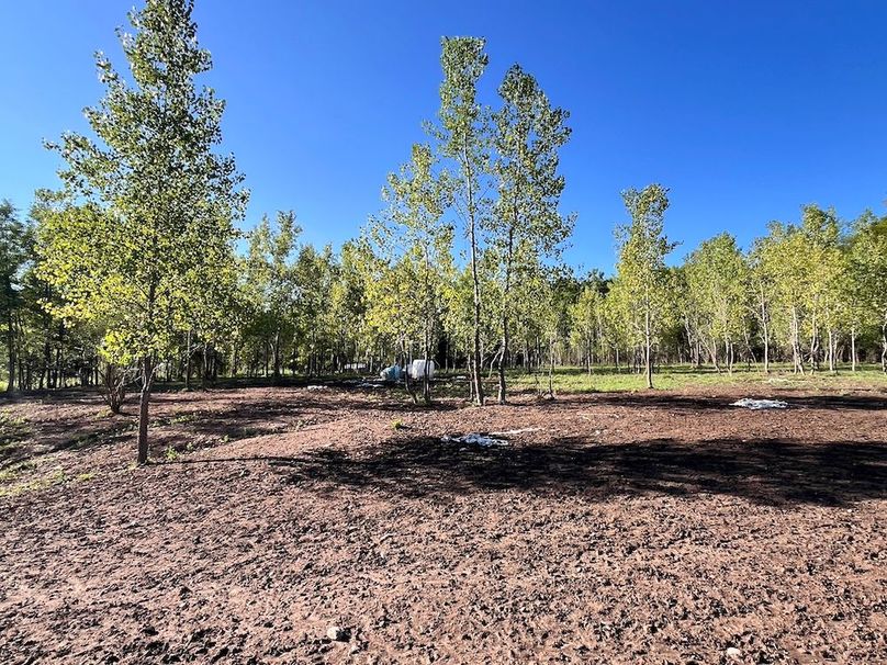 Ontario_19.1_Schmucker_Photos_36