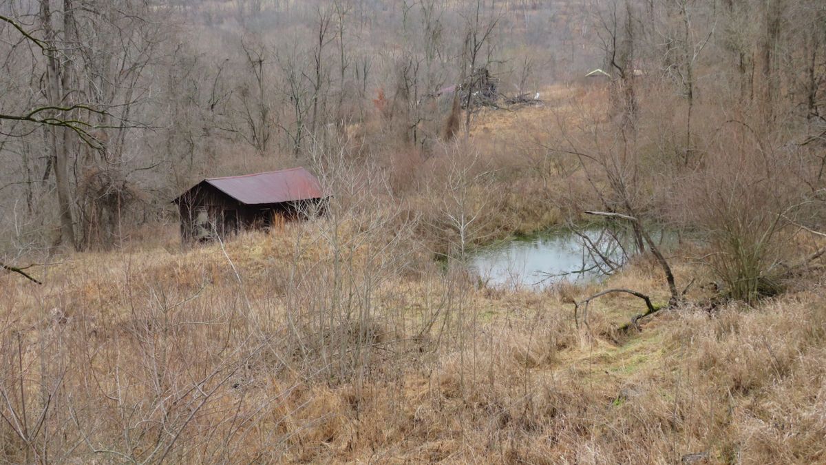 Hunting Property For Sale Near Ravenswood Whitetail Properties