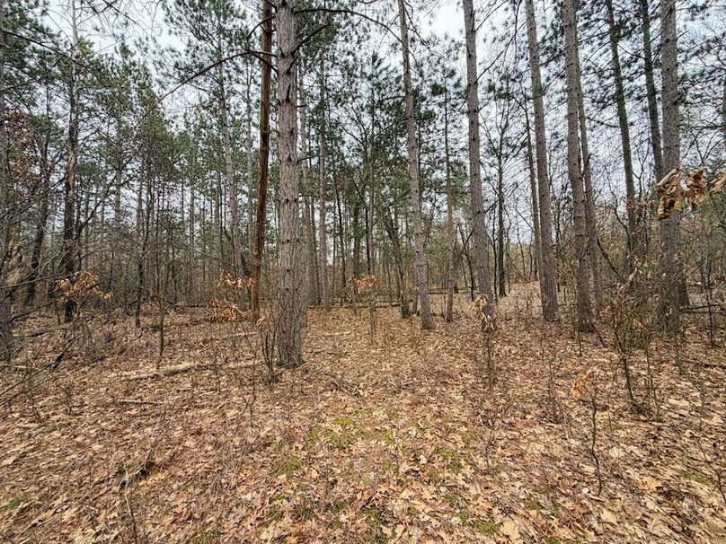 Juneau 1.53 Northgate-10