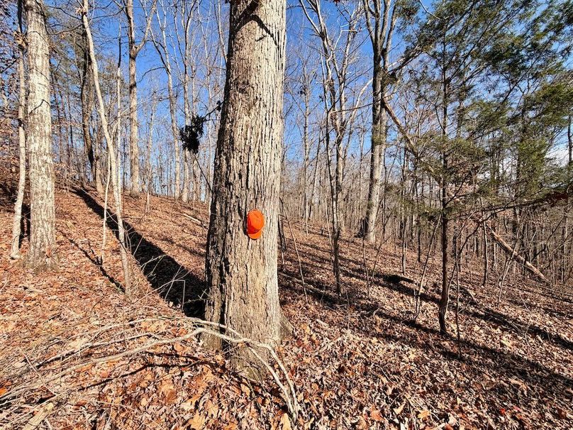 Roane Co TN 396 20251127_29